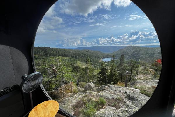 utsikt fra birdbox gjennom rundt vindu