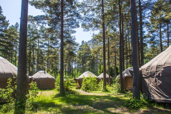 Yurt, Raet camping