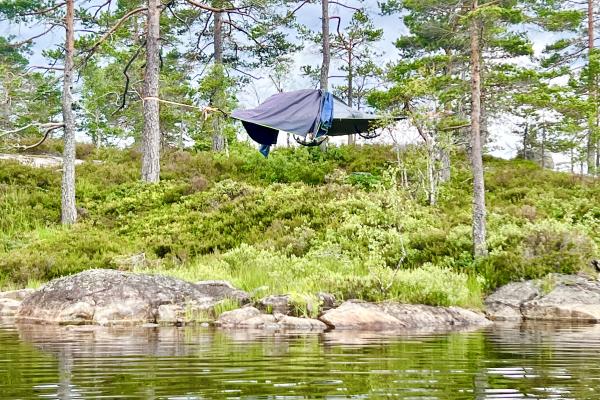 svevetelt i skogen