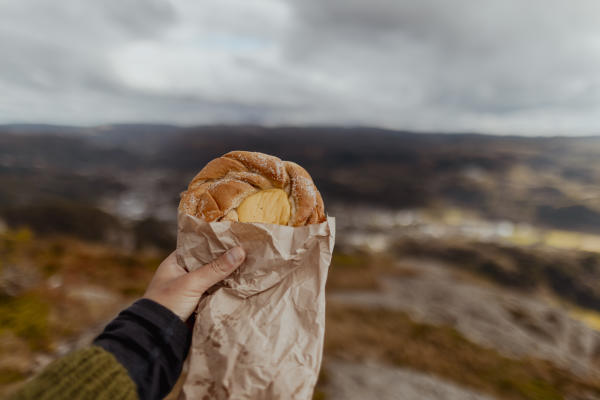 kanelbolle