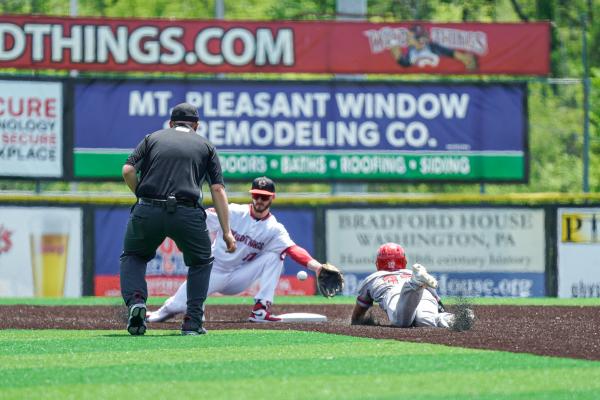 Washington Wild Things