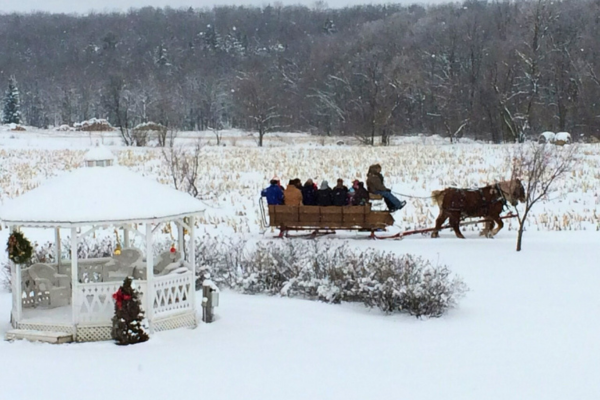 Willow Springs Sleigh Ride