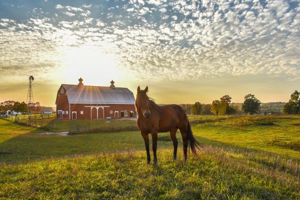 Farm at Prophetstown