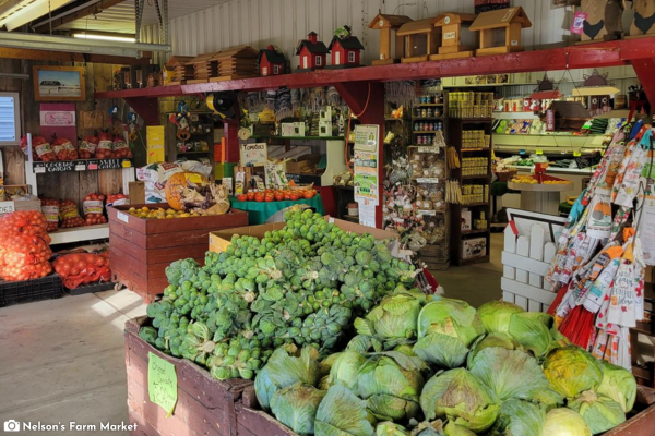 Nelson's Farm Market