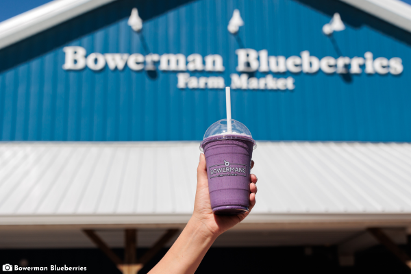 Bowerman Blueberries