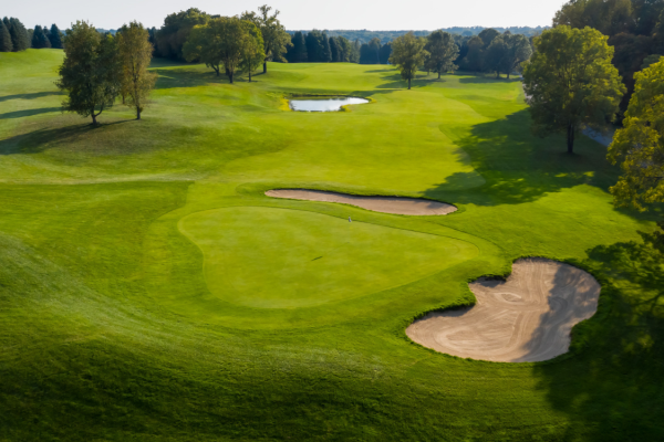 LYNX GC