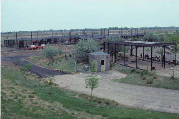 Australian Outback and South American Pampas at Sedgwick County Zoo in 1980