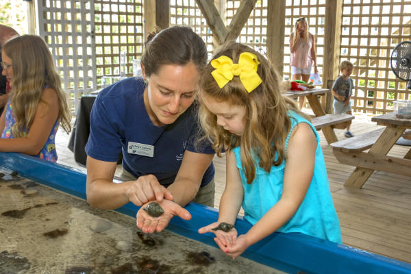 Touch Tank Tuesdays at Wrightsville beach