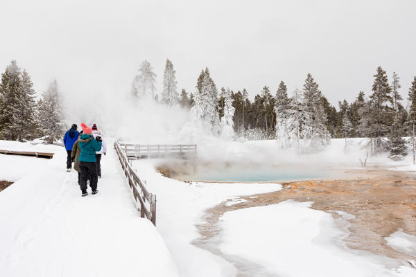 Winter in Yellowstone