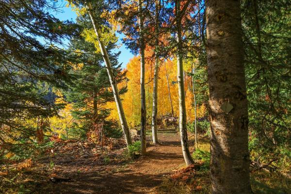 Tie Hack Trail Carbon County