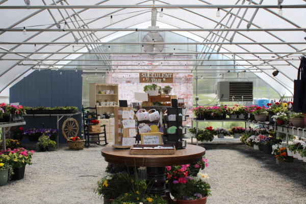 White Clover Farm greenhouse