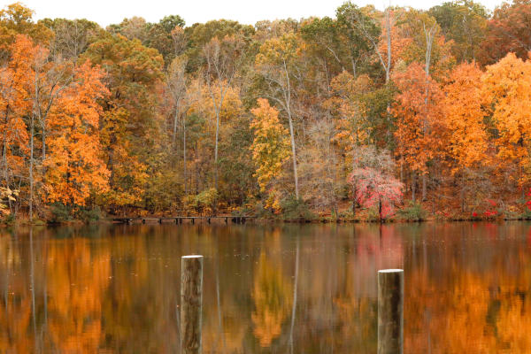 2023 ASC Greenway Fall