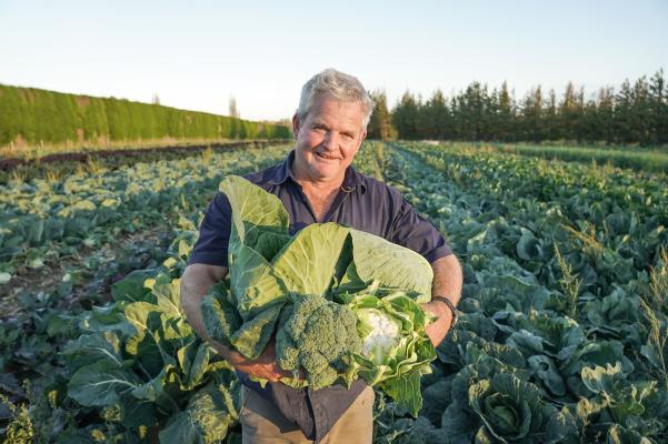 Wilson's Veges, Winton