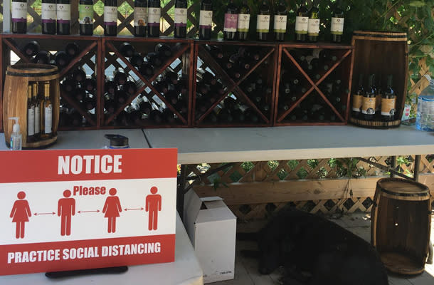 Alton Farms Estate Winery Patio