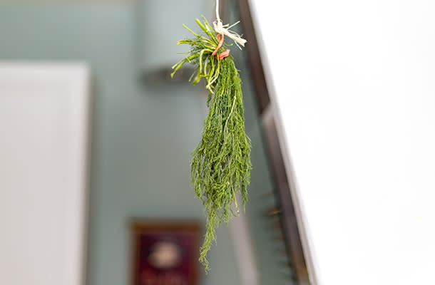 Drying Dill 610 by 400