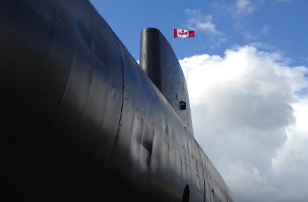 Blog - An Amazing Sight to Sea