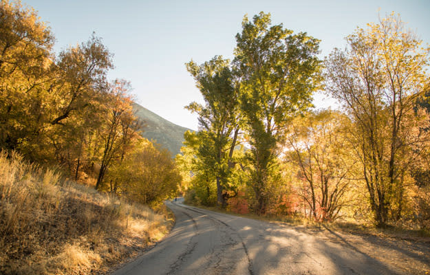 First Timer's Guide to Utah Valley - Fall