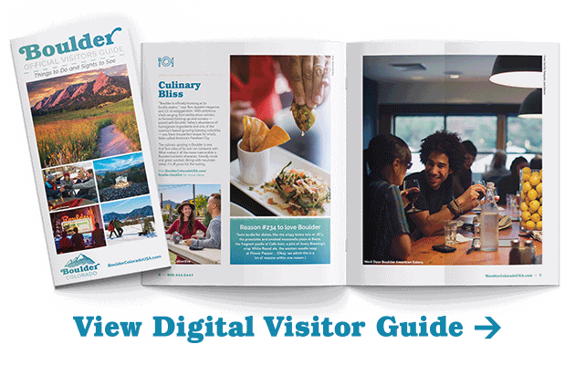 Visitor's Guide University of Arkansas