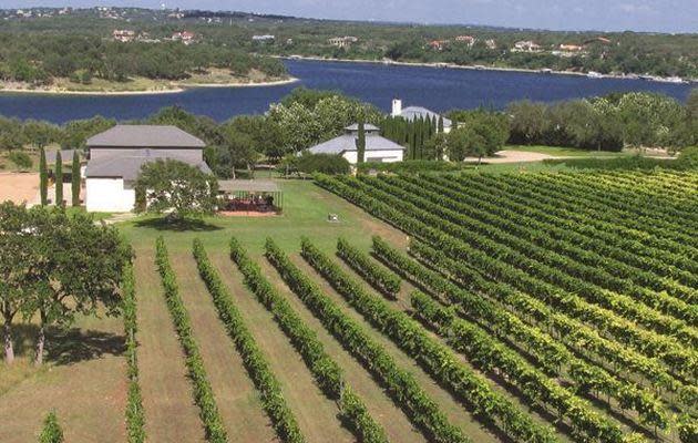 Stone House Vineyard