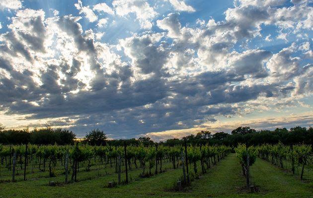 Westcave Cellars Winery & Brewery