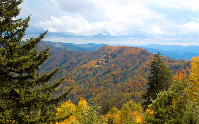 Newfound_Gap_Gatlinburg_Best_Fall