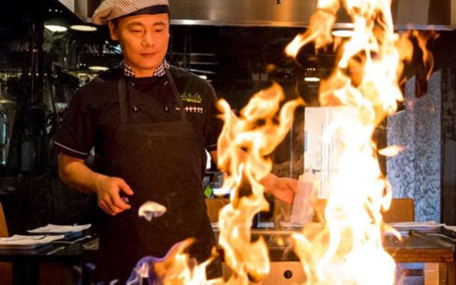 Wasabi grill sales