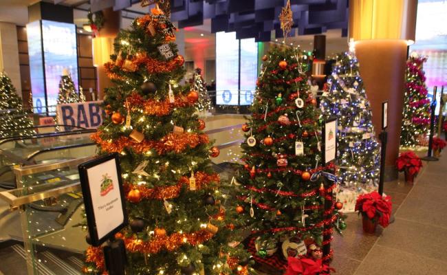 Jim Whelan Boardwalk Hall Festival of Trees