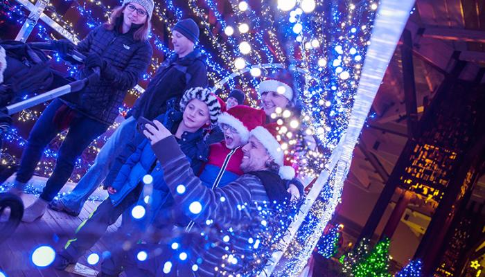 Christmas at the Zoo
