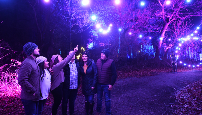 Holiday Season At Fair Oaks Farms