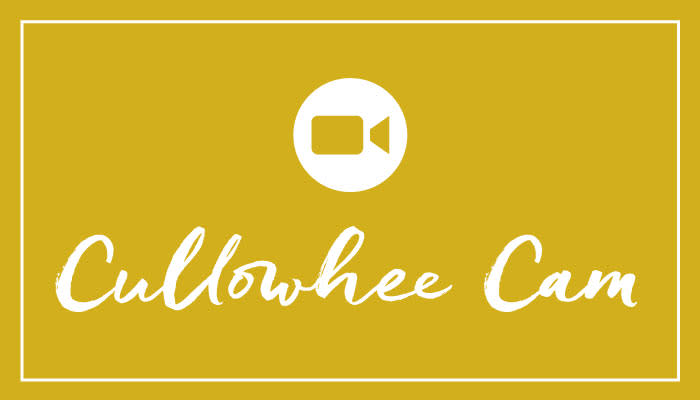 CullowheeCam