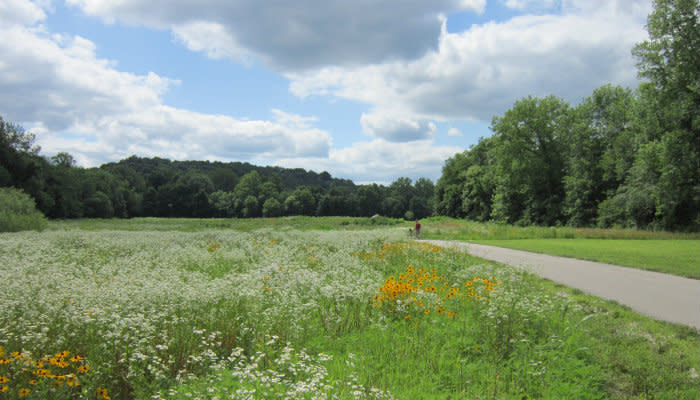 Burkhart Creek - Trail