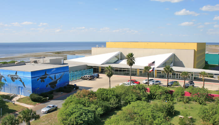 Actualizar 78+ imagen south padre island convention center