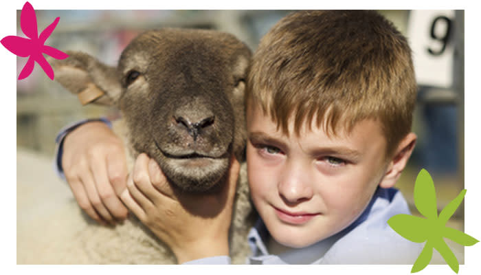 A small boy cuddling a sheep.