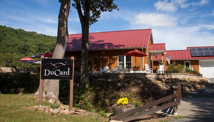 DuCard Vineyards