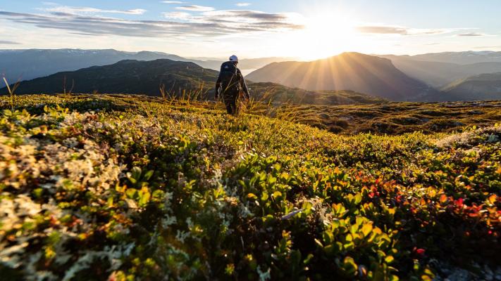 Tur til Storhogen, Kaupanger