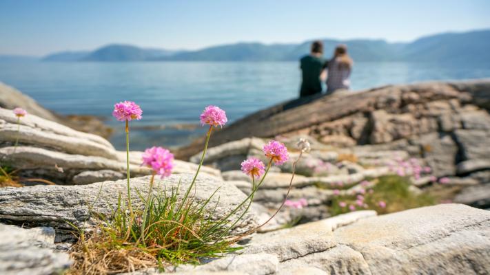 Utsikt frå Høyanger