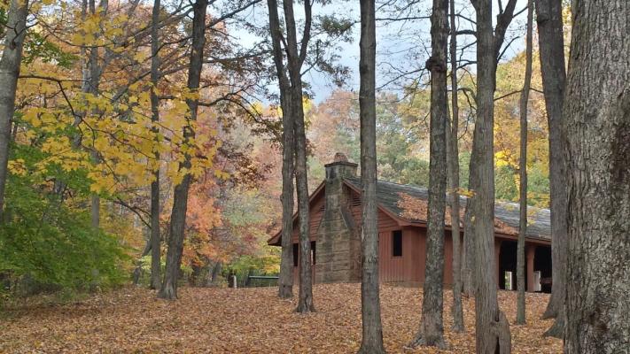 Morgan County State Forest