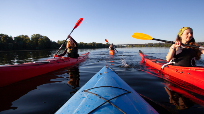 Kayak, Group