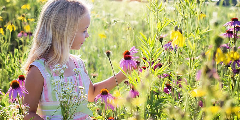 wildflowers