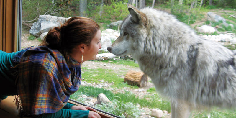 Wolf & Woman