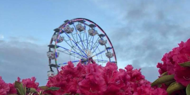 Rhody flowers and Ferris Wheel