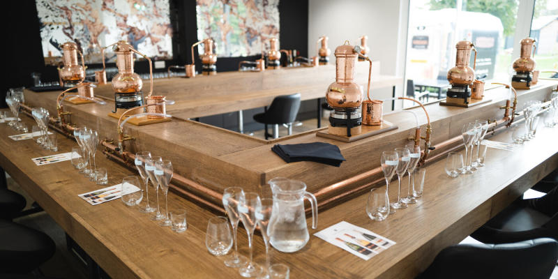 Ashling Park’s Gin School