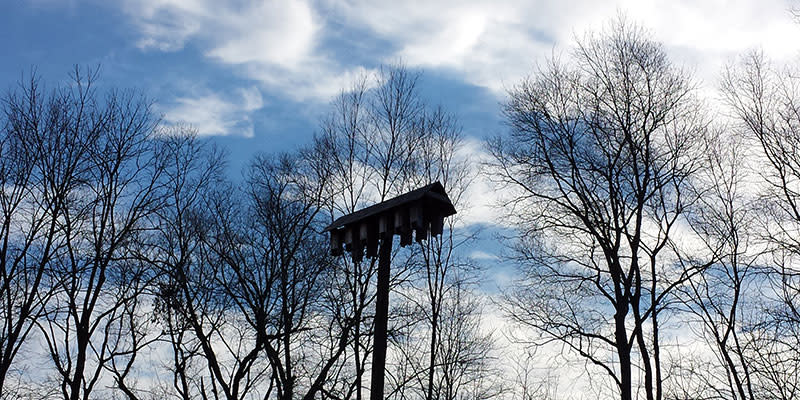 BC Bat Box