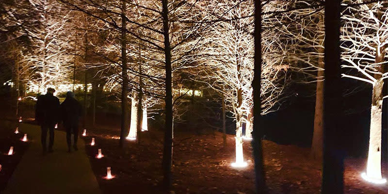 luminary walk couples