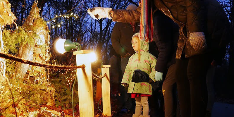 luminary walk