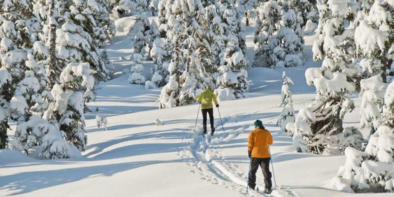 Cross Country skiing