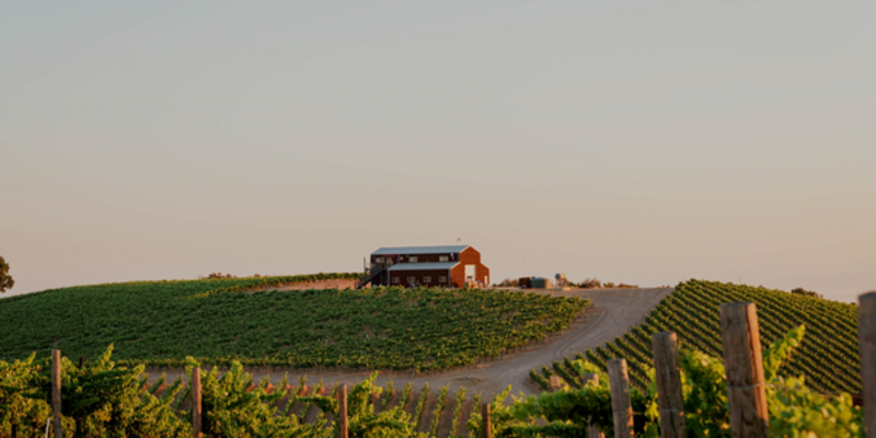 barn in vineyard