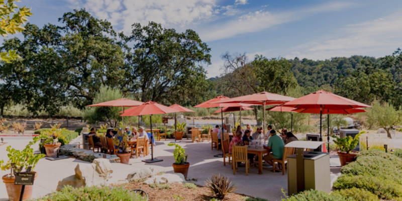Tablas Creek Tasting