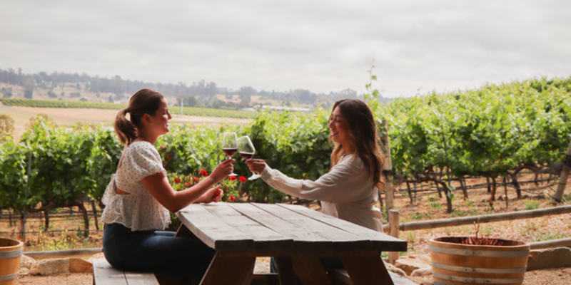 wine tasting