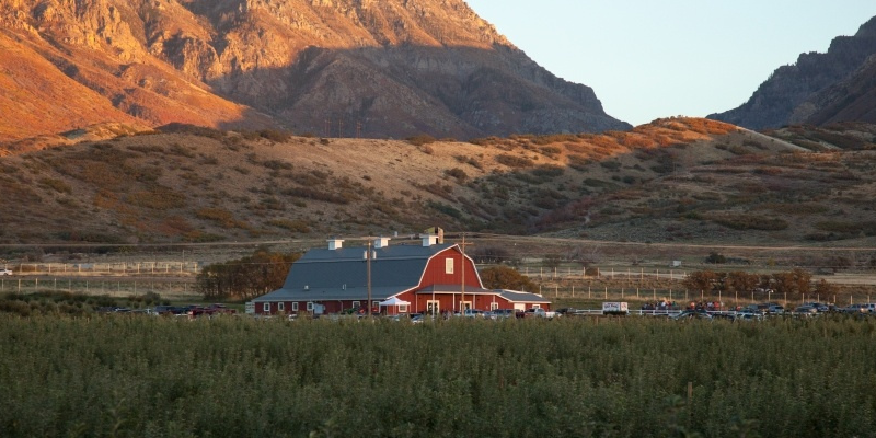 Rowley's Red Barn